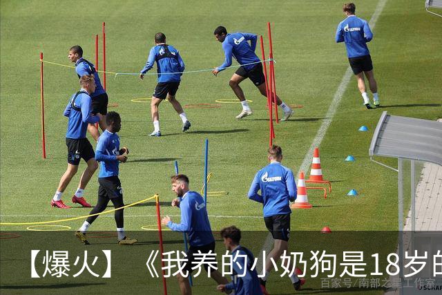 【爆火】《我养的小奶狗是18岁的他》宋嫣顾霖